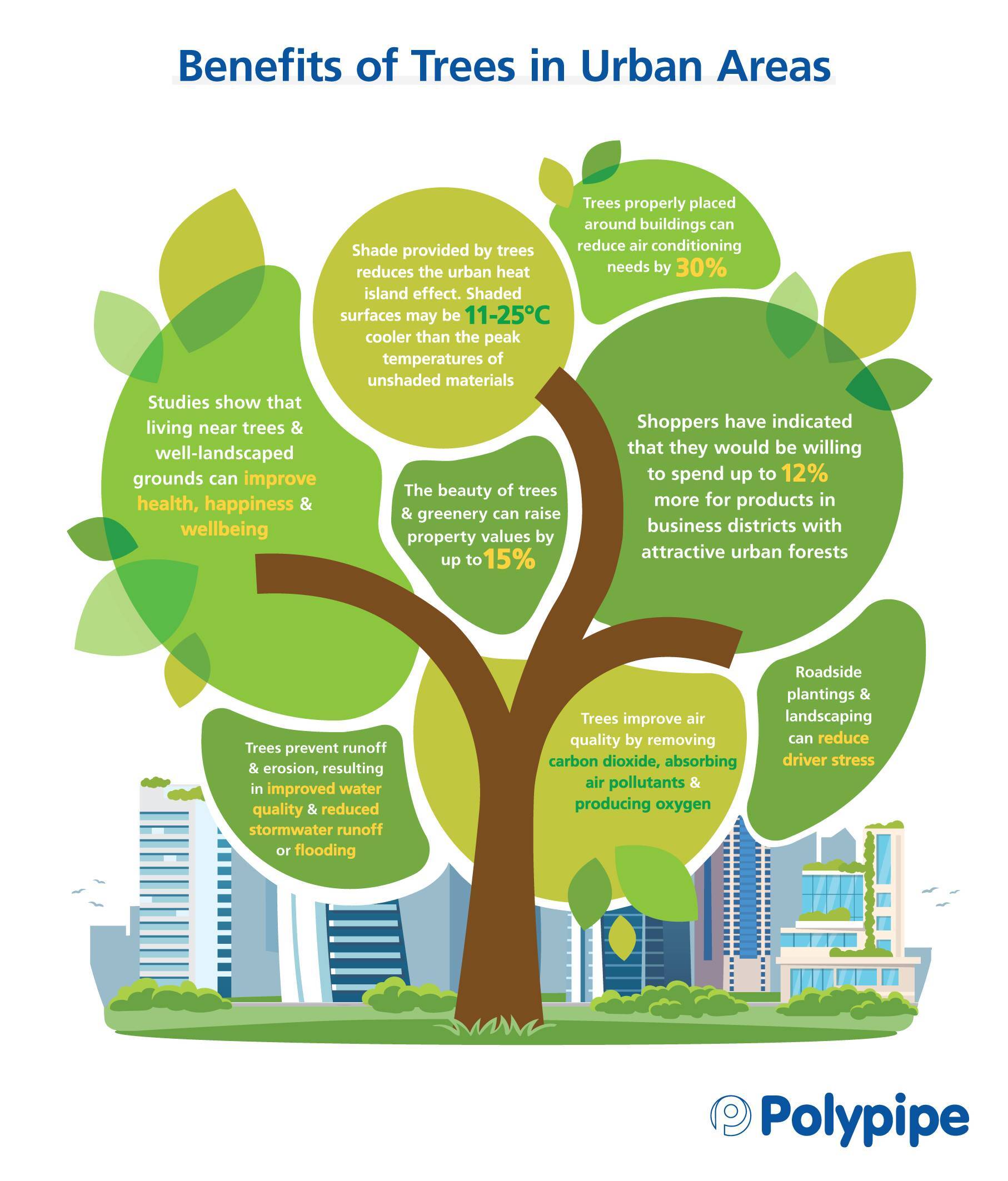 How Does Planting Trees Benefit The Environment